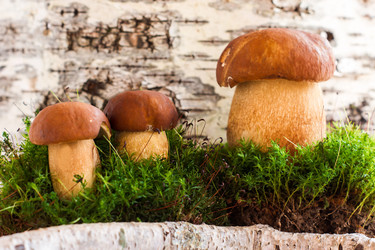 Similar image 21157417