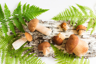 Similar image 21157421