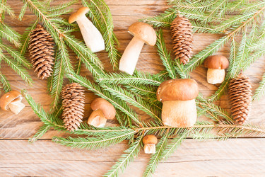 Similar image 21157425