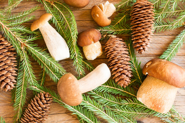 Similar image 21161391