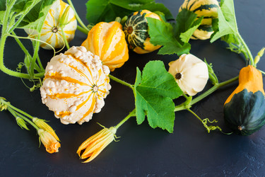 Similar image 21161393