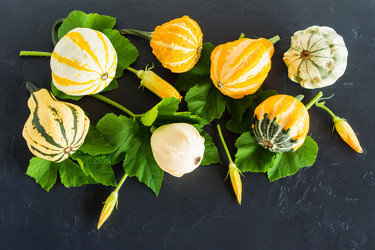 Similar image 21161401