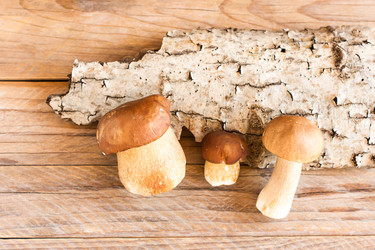 Similar image 21161403