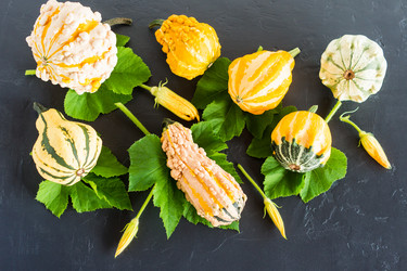 Similar image 21161405