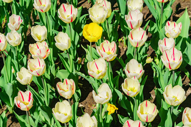 Similar image 21165982