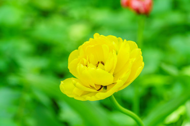 Similar image 21165984