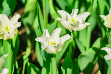 Similar image 21165987