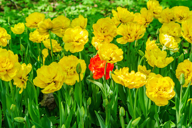 Similar image 21165992