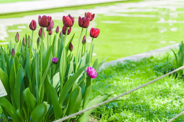 Similar image 21164567