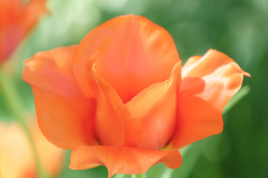 Similar image 21164569