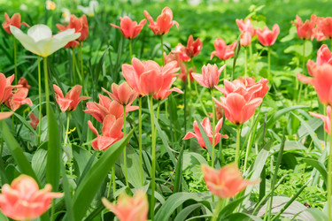 Similar image 21164572