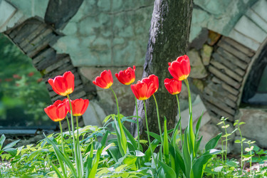 Similar image 21164575