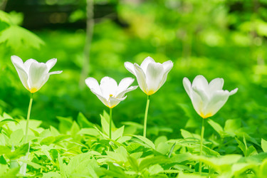 Similar image 21164577