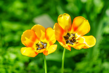 Similar image 21164579