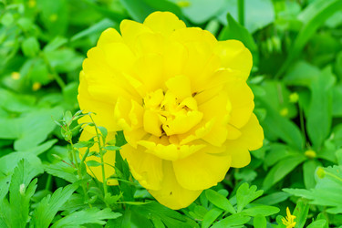 Similar image 21164581