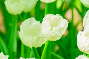 Similar image 21164585