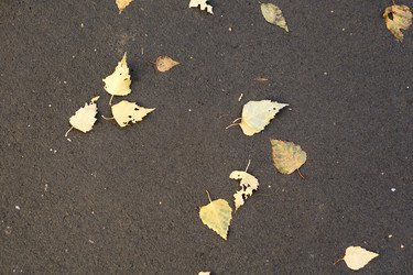 Similar image 21139706