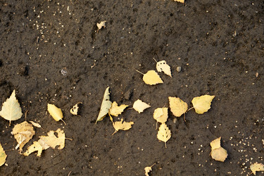 Similar image 21139707