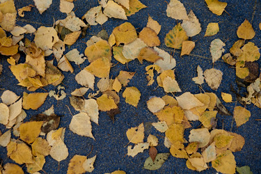 Similar image 21139708