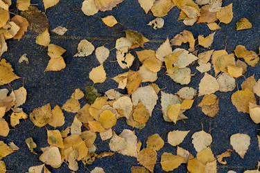 Similar image 21139709