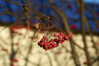 Similar image 21136110