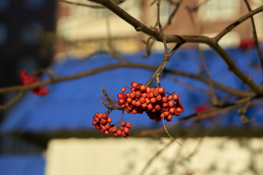 Similar image 21136111