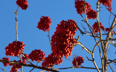 Similar image 21136112