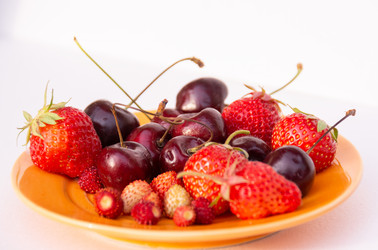 Similar image 21171901