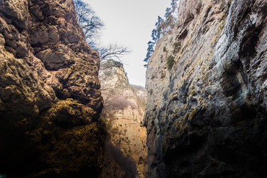 Similar image 21157887