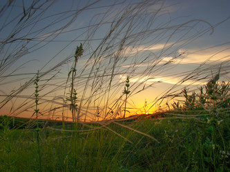 Similar image 21157898