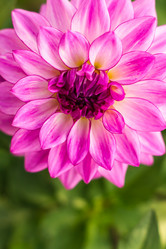 Similar image 21161650