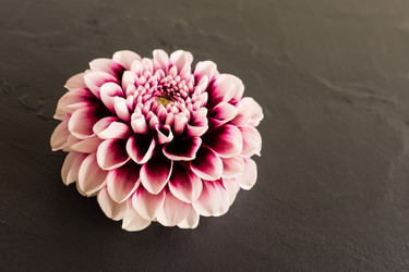 Similar image 21161652