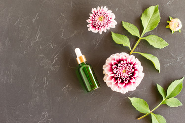 Similar image 21161656