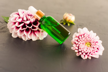 Similar image 21161658