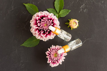 Similar image 21161661