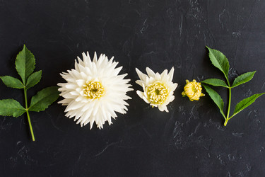 Similar image 21161664