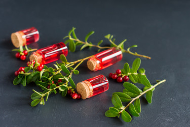 Similar image 21161667