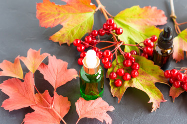 Similar image 21161671