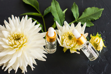 Similar image 21161673