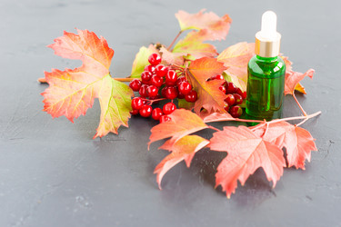 Similar image 21161675