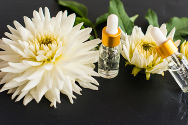 Similar image 21161677