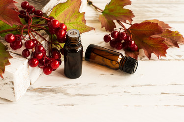 Similar image 21161678