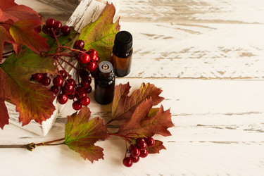 Similar image 21161679