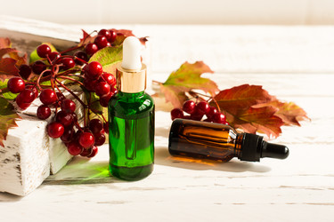 Similar image 21161683