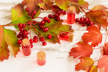 Similar image 21161686