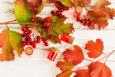 Similar image 21161687