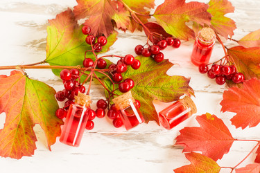 Similar image 21161690