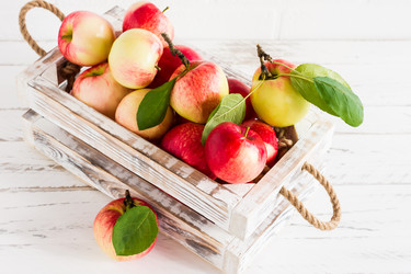 Similar image 21161693