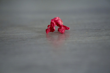 Similar image 21142830