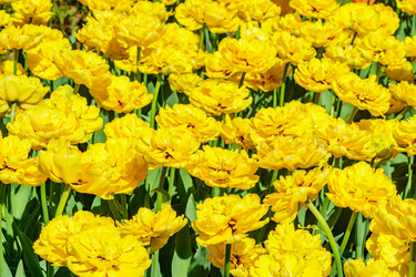 Similar image 21165310